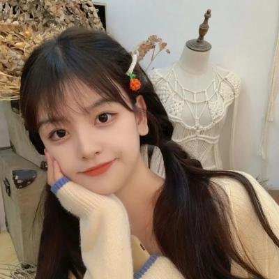 小乌龟福兰克林